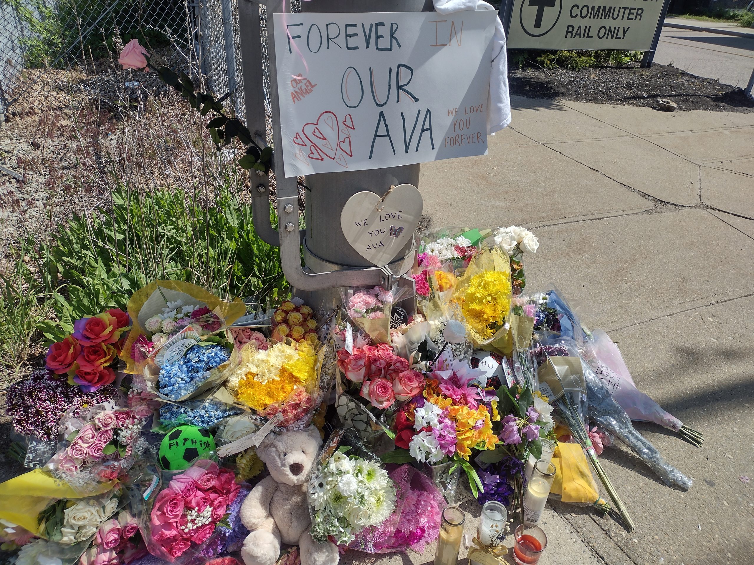 Unveiling The Deadly Secret: Pedestrian Fatality Statistics Revealed - 4361hrv
